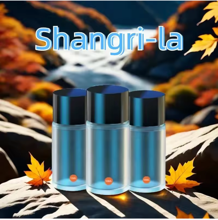 Car Electric Air Diffuser Aroma